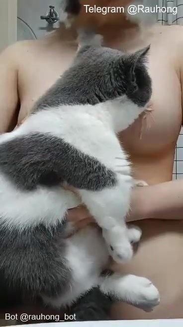 Em teen bỏ đồ ăn lên vú cho mèo liếm đầu ti cực nứng 1