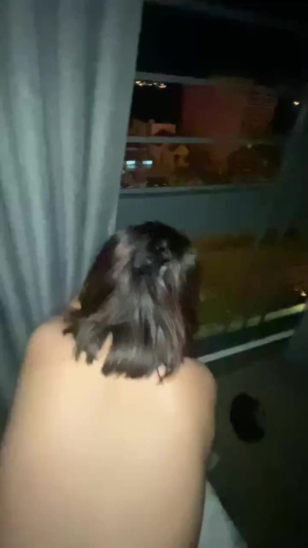 bé 2k9 trốn nhà đi qua đêm với trai em còn ngại ngùng