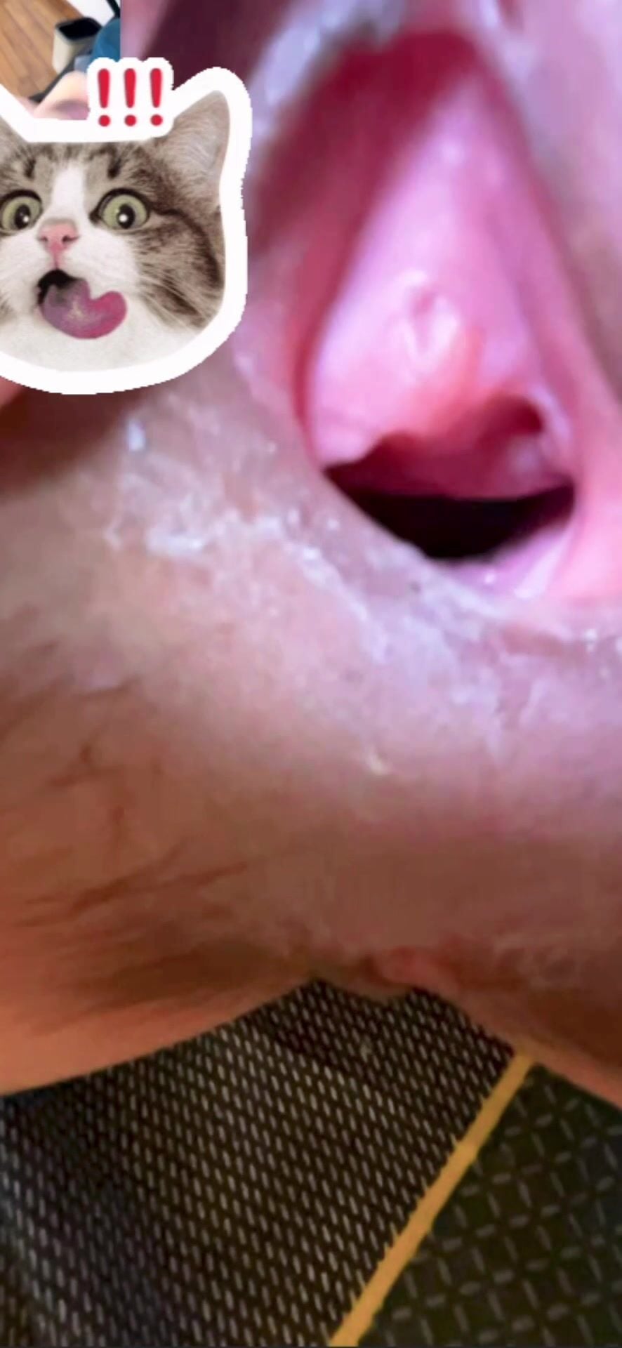Hành trình yêu xa với em người yêu loli lồn múp
