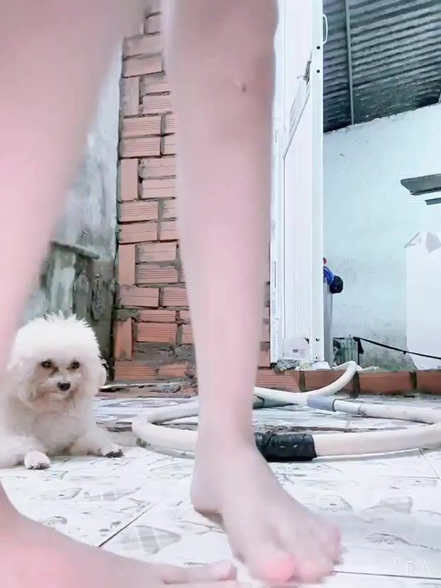 “Ra kèo ác vãi lồn, có người đến bảo tao đấy” trả kèo móc lồn ngoài đường cho tg bạn3